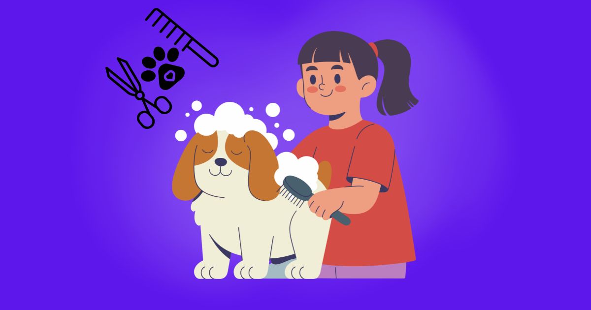 Essential Pet Grooming Tools